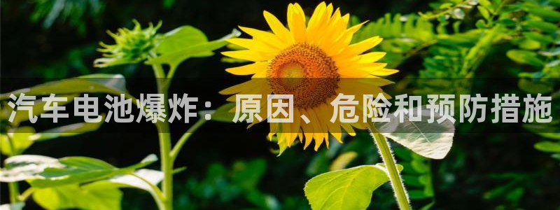 优发国际bob