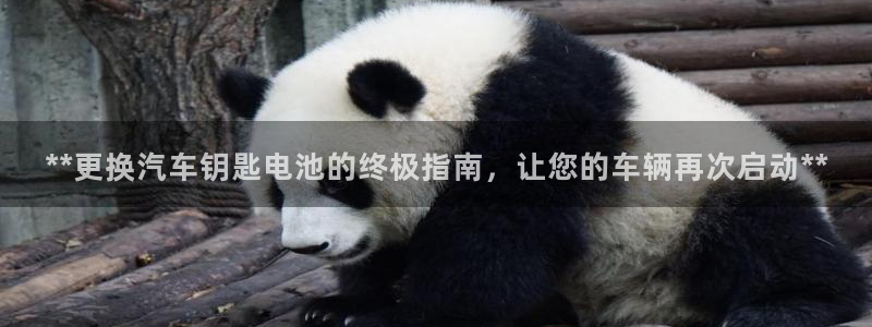 优发国际平台app下载官网