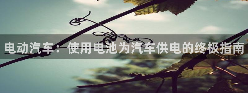 优发国际登陆u