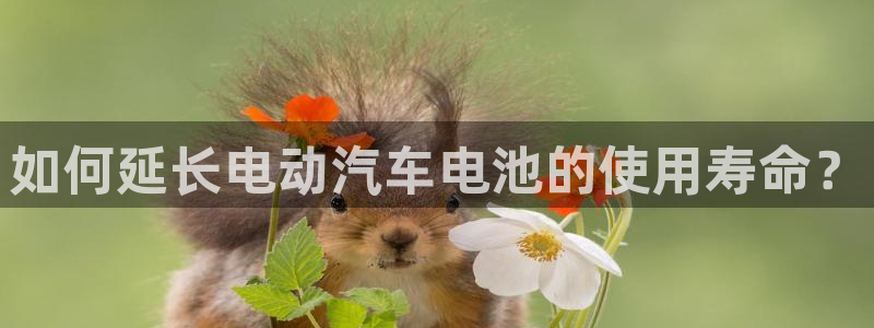 优发国际登陆