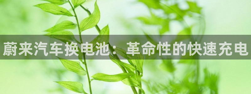 优发国际VIP网址
