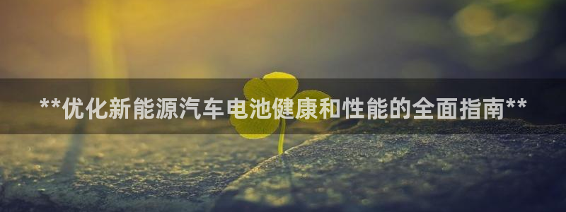 优发国际集团股份有限公司官网