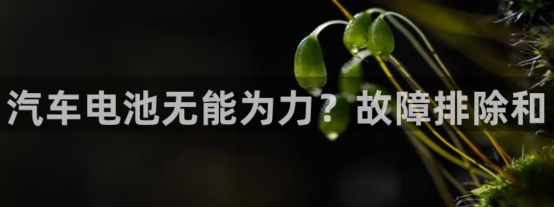 优发国际的网站是