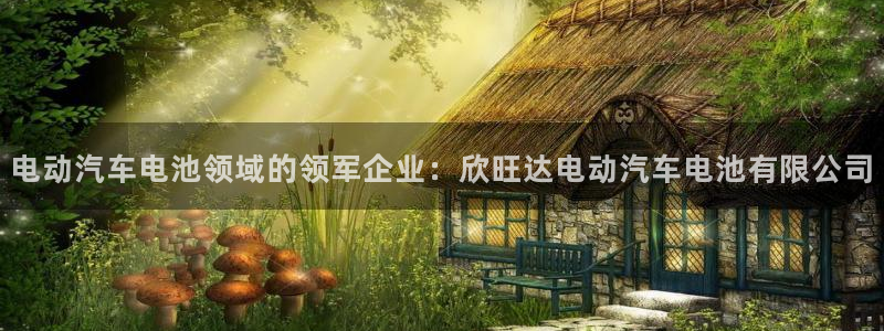 优发国际顶级