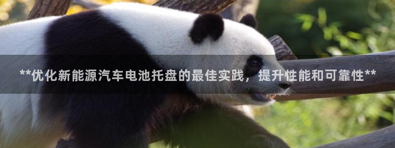 优发国际的官网是什么