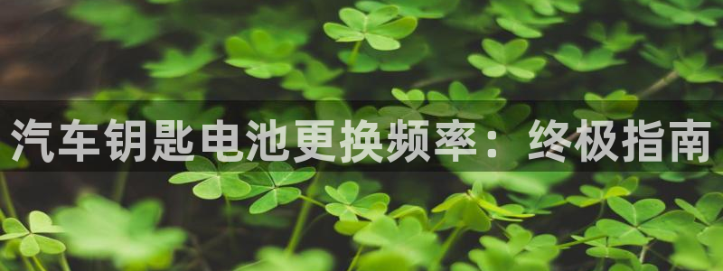 优发国际可以玩吗