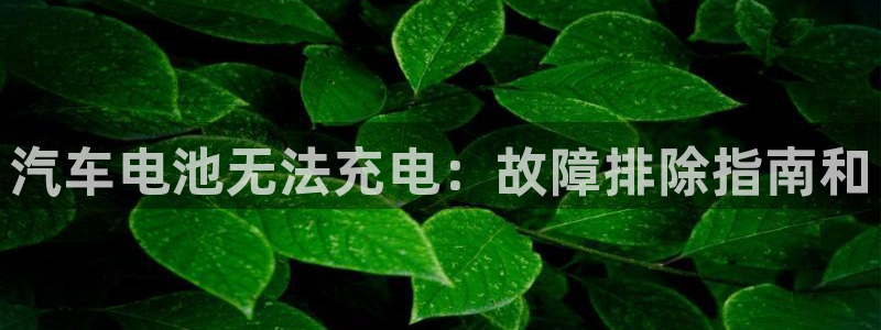 优发国际顶级