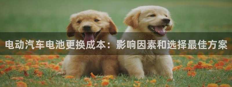 优发国际官网手机版代理