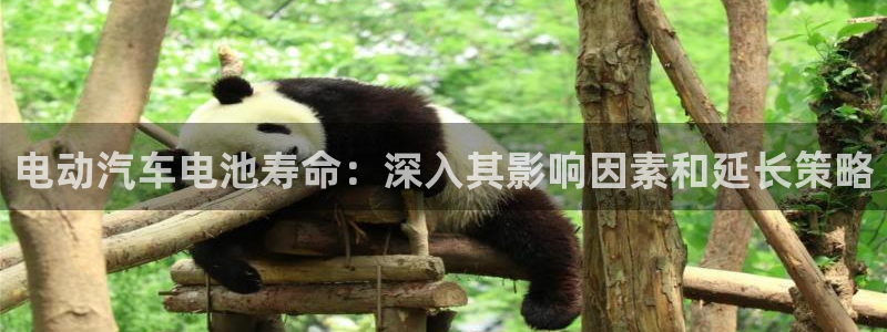 优发国际官网
