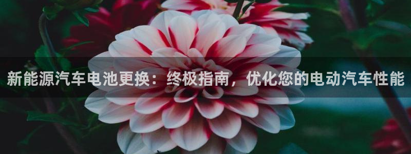 优发国际手机版官网入口