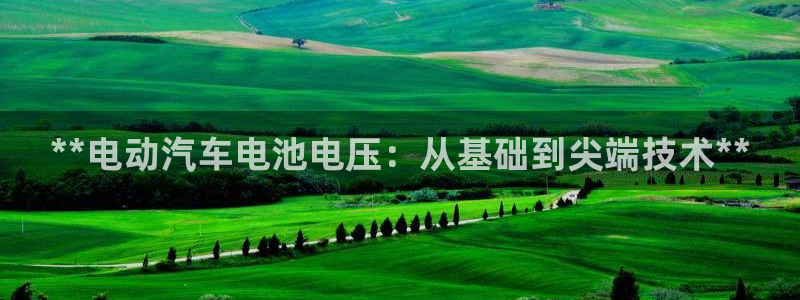 优发国际手机版下载