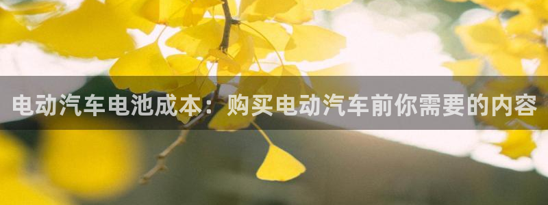 优发国际提现不了