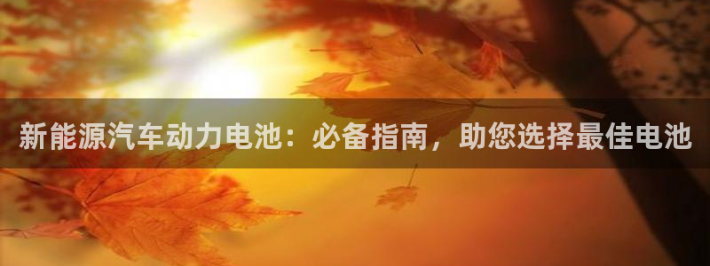 优发国际VIP网址