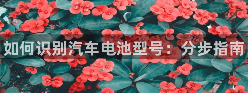 优发国际电话