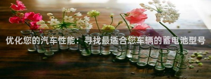 优发国际游戏