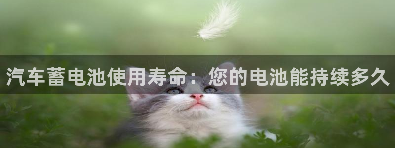 优发国际官网入口app下载苹果