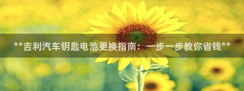 优发国际youfa966