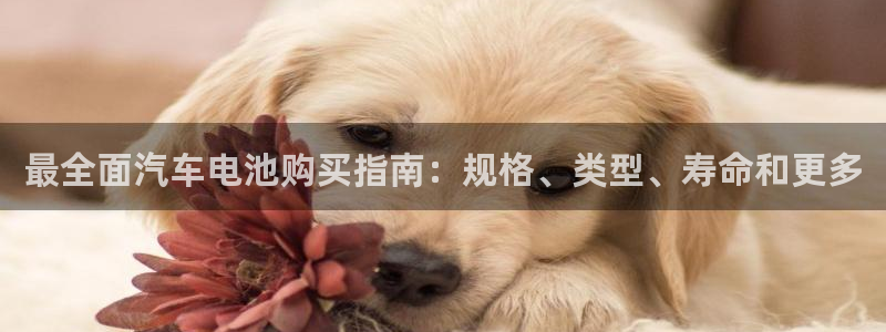 优发国际多少