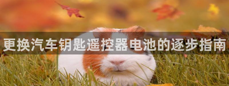 优发国际手机登录下载安装