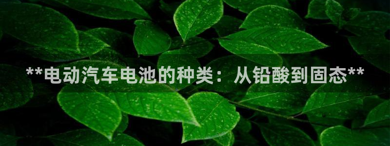 优发国际app官网下载安装苹果手机