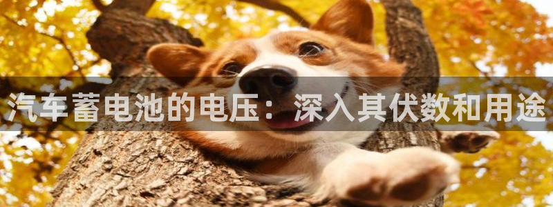 优发国际平台18