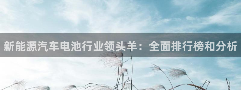 优发国际网官网17w8