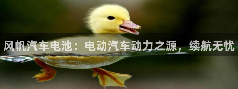 优发国际注册平台
