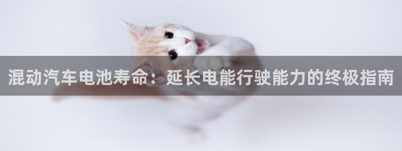 优发娱乐国际线上营业时间