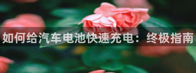 优发国际平台u8是什么软件