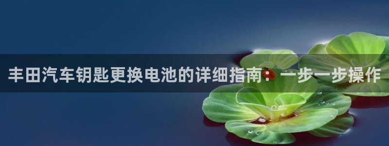 优发国际手机版网站官网