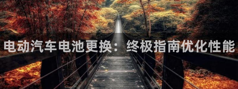 优发国际是什么