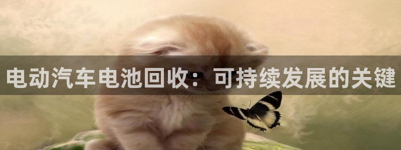 优发国际手机客户端