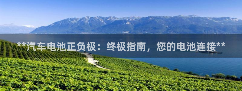 优发国际网站