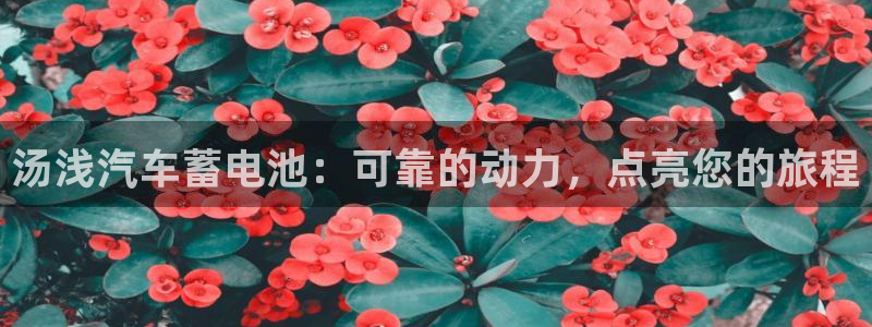 优发娱乐国际线上营业时间