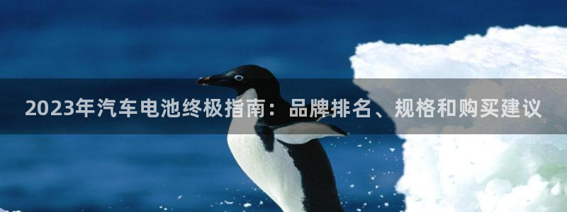 优发国际手机app下载安装最新版