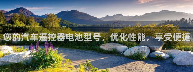 优发国际的官网是什么软件