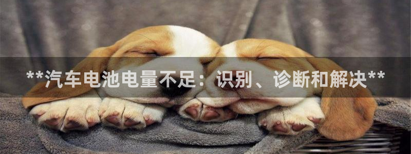 优发国际这个平台怎么样可靠吗