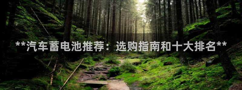 优发国际平台u8怎么样可靠吗