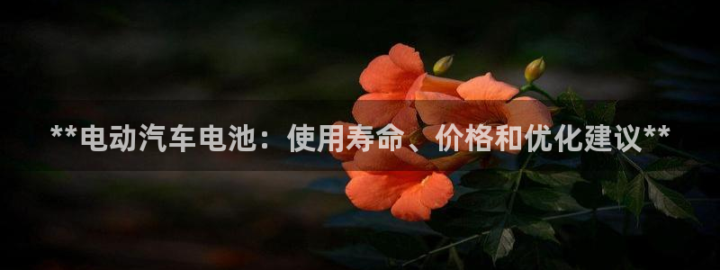 优发国际手机app下载安装最新版