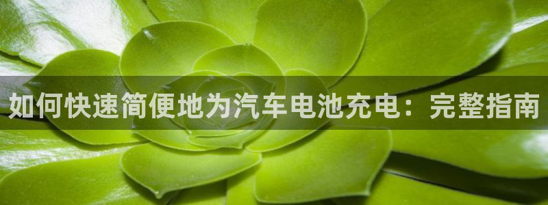 优发国际官网手机版