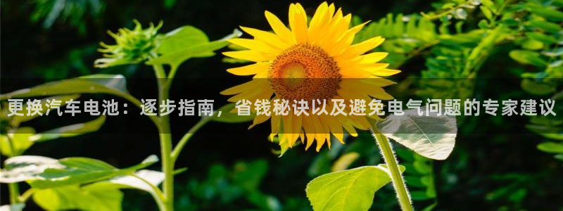 优发国际手机客户端官网