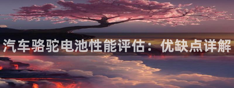 优发国际手机版客户端下载安装