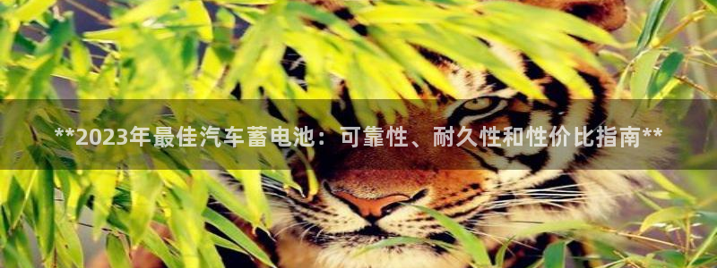 优发国际网官网17k8