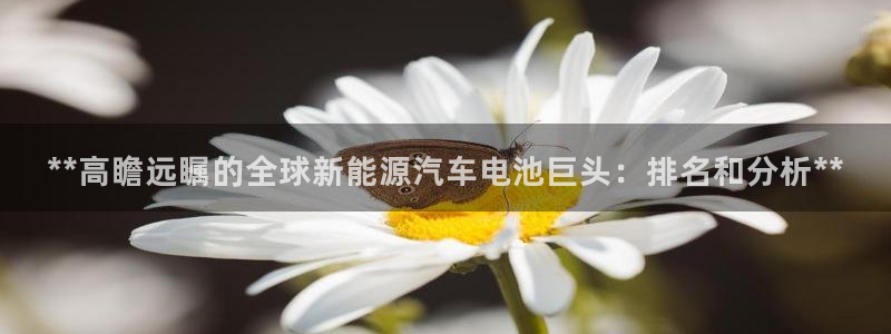 优发国际手机版官网入口