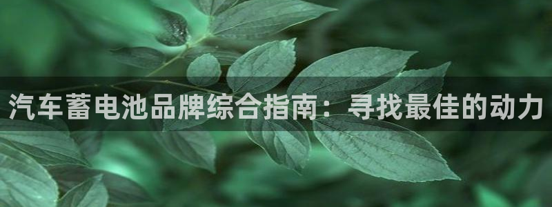 优发国际youfa966