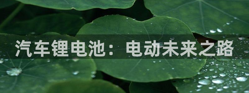 优发国际多少钱