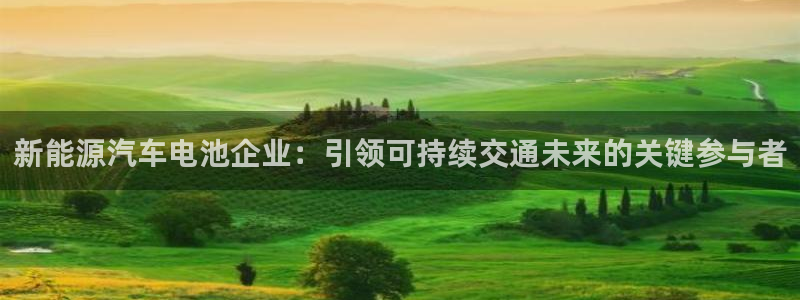 优发国际是大平台吗是真的吗