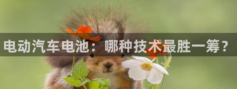 优发国际这个平台怎么样知乎