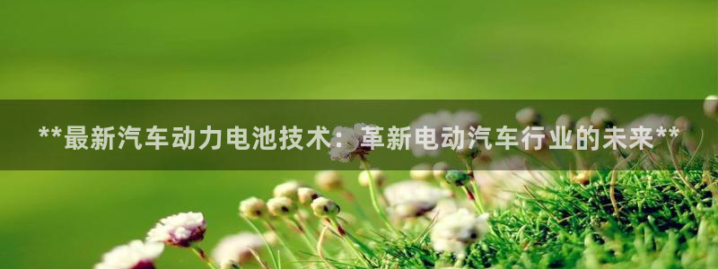 优发国际随优而动一触即发
