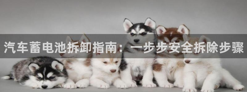 优发国际手机app下载安装苹果